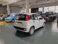 Fiat Panda Pandina 1.0 firefly hybrid KM0 Schwarz - thumbnail 5