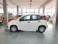 Fiat Panda Pandina 1.0 firefly hybrid KM0 Schwarz - thumbnail 3