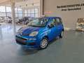 Fiat Panda Pandina 1.0 firefly hybrid KM0 Schwarz - thumbnail 2