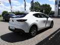 Mazda 3 2025 Prime-Line G-140 *November-Aktion* NAVI ACAA Wit - thumbnail 5