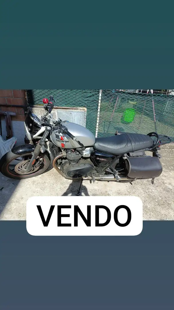 Triumph Street Twin Srebrny - 1