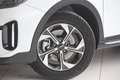Kia XCeed Xceed 1,0 TGDI GPF Silber Weiß - thumbnail 2