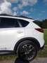 Mazda CX-5 CX-5 CD175 AWD Revolution Top Aut. Revolution Top Weiß - thumbnail 7