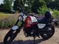 Royal Enfield Scram 411 Rouge - thumbnail 9