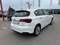 Fiat Tipo 1.3 mjt Business s&s 95cv my20 Blanc - thumbnail 6