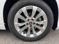 Fiat Tipo 1.3 mjt Business s&s 95cv my20 Blanc - thumbnail 15