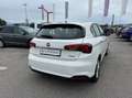 Fiat Tipo 1.3 mjt Business s&s 95cv my20 Blanc - thumbnail 7