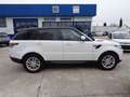 Land Rover Range Rover Sport 2.0 SD4-V6 HSE Motore nuovo 11.530 km Weiß - thumbnail 7