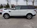 Land Rover Range Rover Sport 2.0 SD4-V6 HSE Motore nuovo 11.530 km Weiß - thumbnail 3