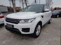 Land Rover Range Rover Sport 2.0 SD4-V6 HSE Motore nuovo 11.530 km Weiß - thumbnail 1