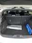 Ford Focus 1.0 Ecoboost ST Line 125 Blanco - thumbnail 6