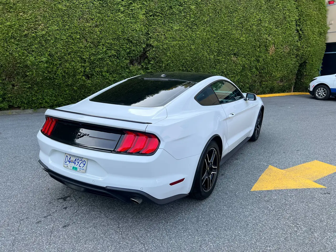 Ford Mustang fotografie Ford Mustang