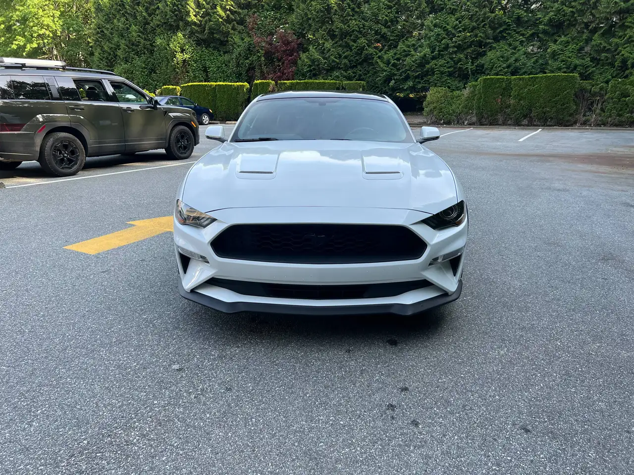 Ford Mustang fotografie Ford Mustang