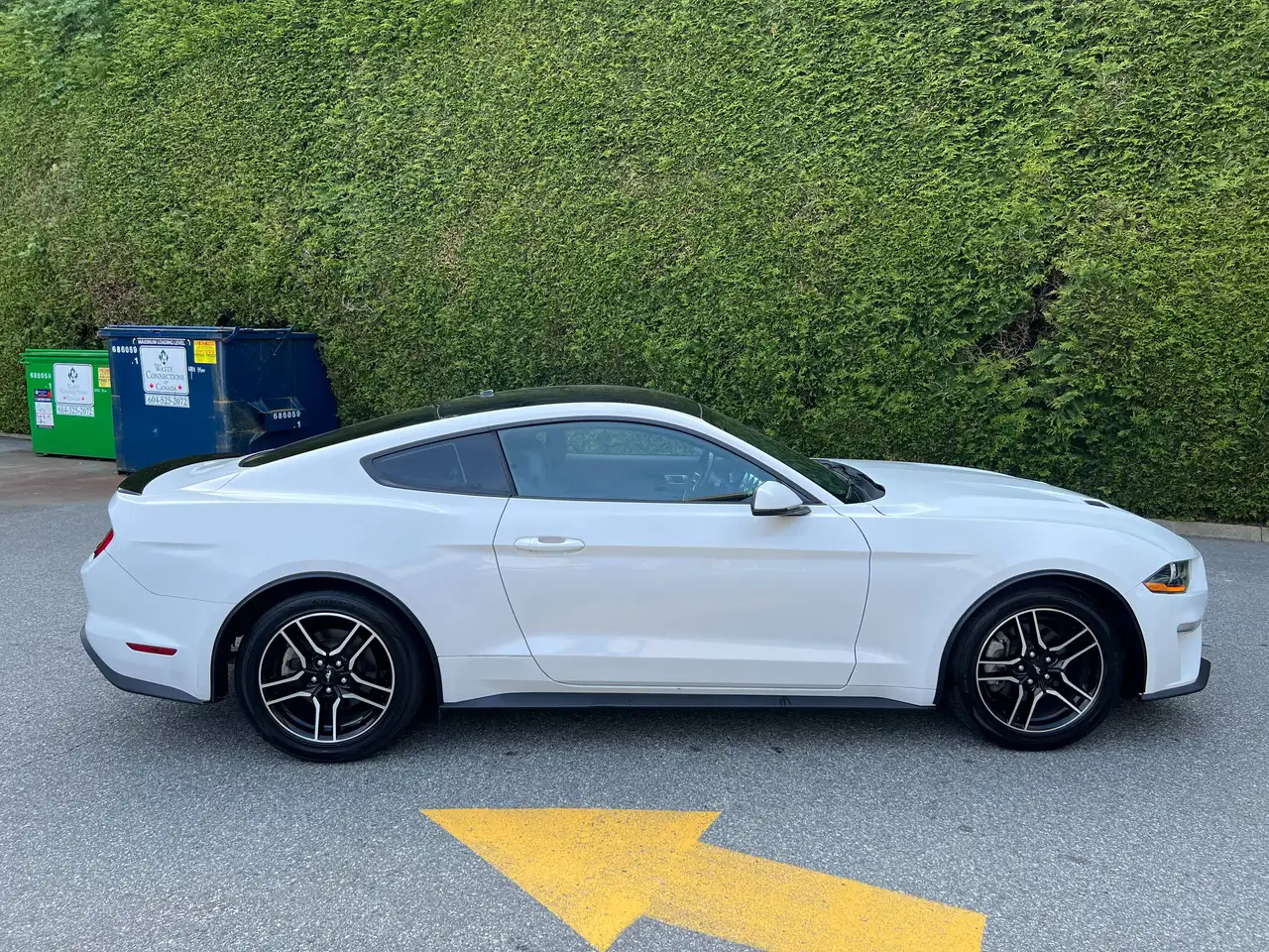 Ford Mustang fotografie Ford Mustang