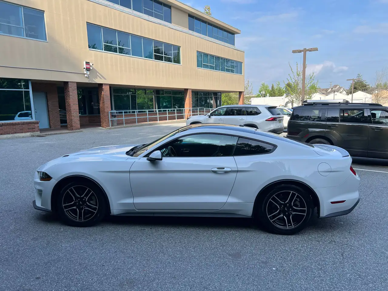 Ford Mustang fotografie Ford Mustang
