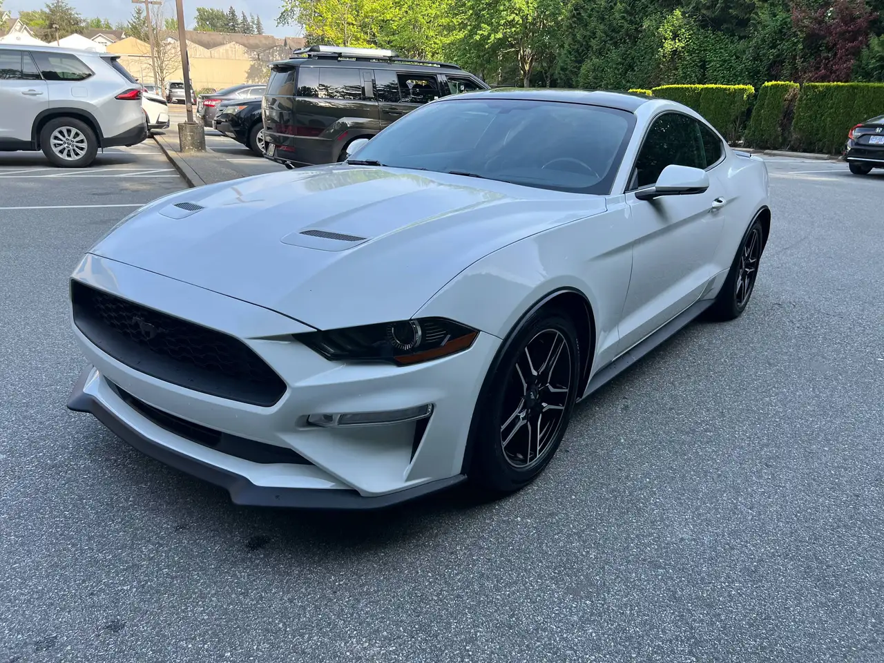Ford Mustang fotografie Ford Mustang