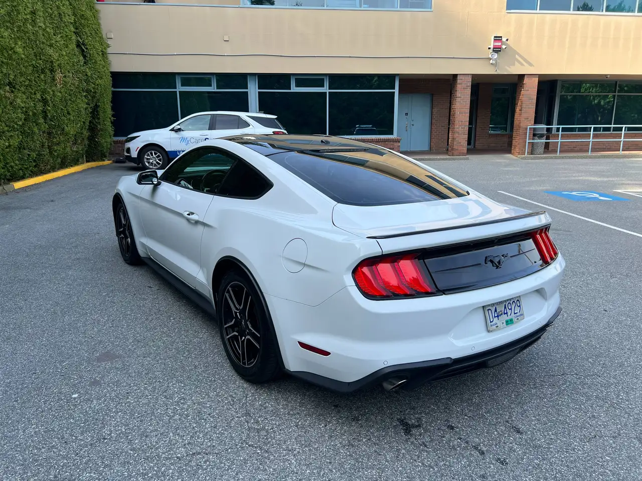 Ford Mustang fotografie Ford Mustang
