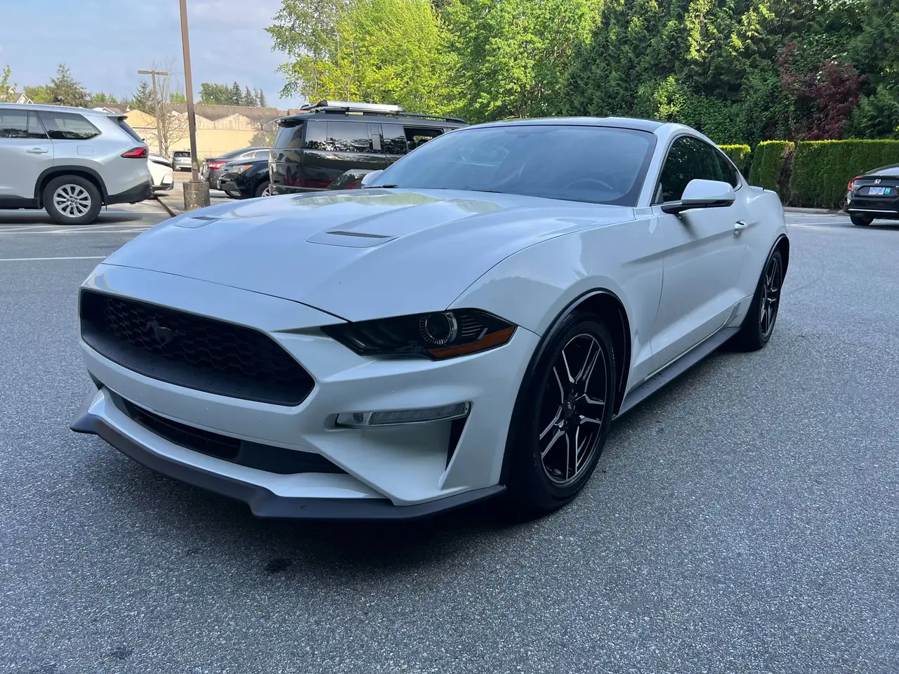Ford Mustang fotografie Ford Mustang