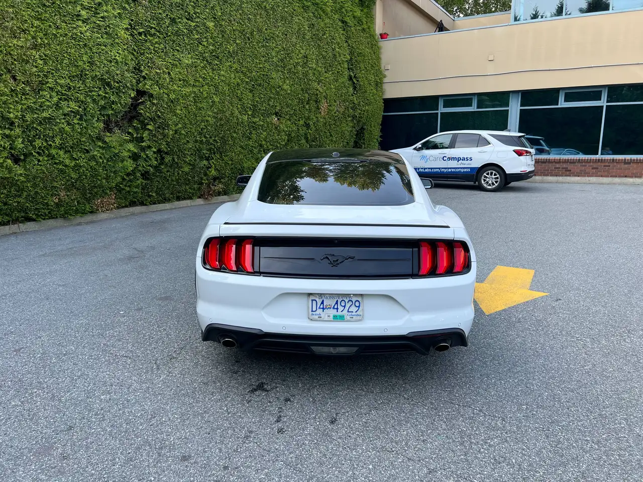 Ford Mustang fotografie Ford Mustang
