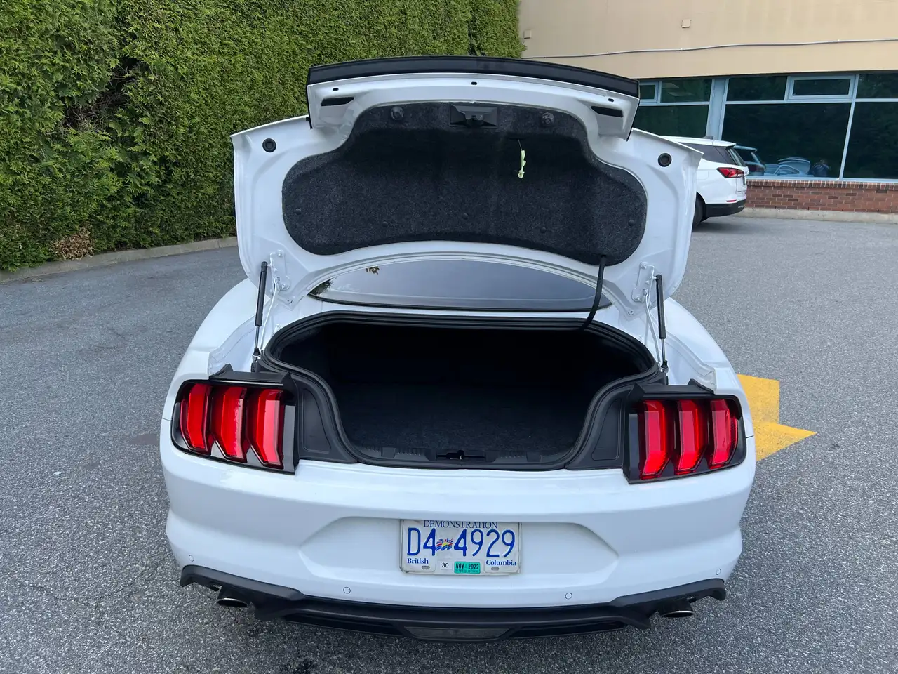 Ford Mustang fotografie Ford Mustang