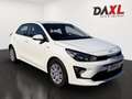 Kia Rio 1,25 MPI Neon ISG *Neon-Paket* Weiß - thumbnail 3
