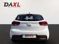 Kia Rio 1,25 MPI Neon ISG *Neon-Paket* Weiß - thumbnail 6