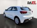 Kia Rio 1,25 MPI Neon ISG *Neon-Paket* Weiß - thumbnail 7