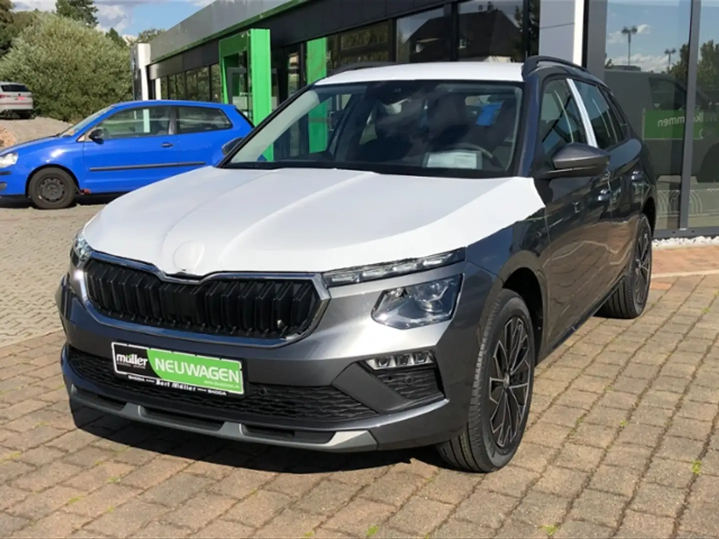 Skoda Kamiq Tour SmartLink Kamera SHZ Grau - 2