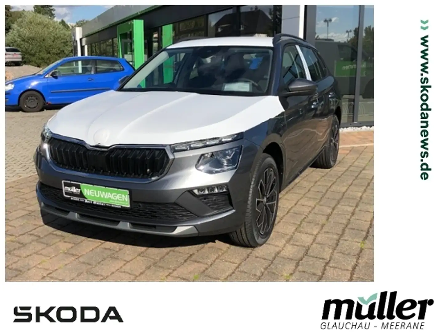 Skoda Kamiq Tour SmartLink Kamera SHZ Grau - 1