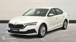 Skoda Octavia 2.0 TDI 116ch Business DSG7 Euro6d-AP