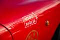 Fiat 1100 S Stanguellini | 1951 & 1952 Mille Miglia Rojo - thumbnail 4