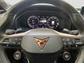 CUPRA Formentor VZ 2.0 TSI DSG 4Drive LED Leder CAM Grau - thumbnail 9