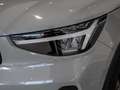 Volvo C40 Plus Recharge Pure Electric ACC LED PANO Weiß - thumbnail 18