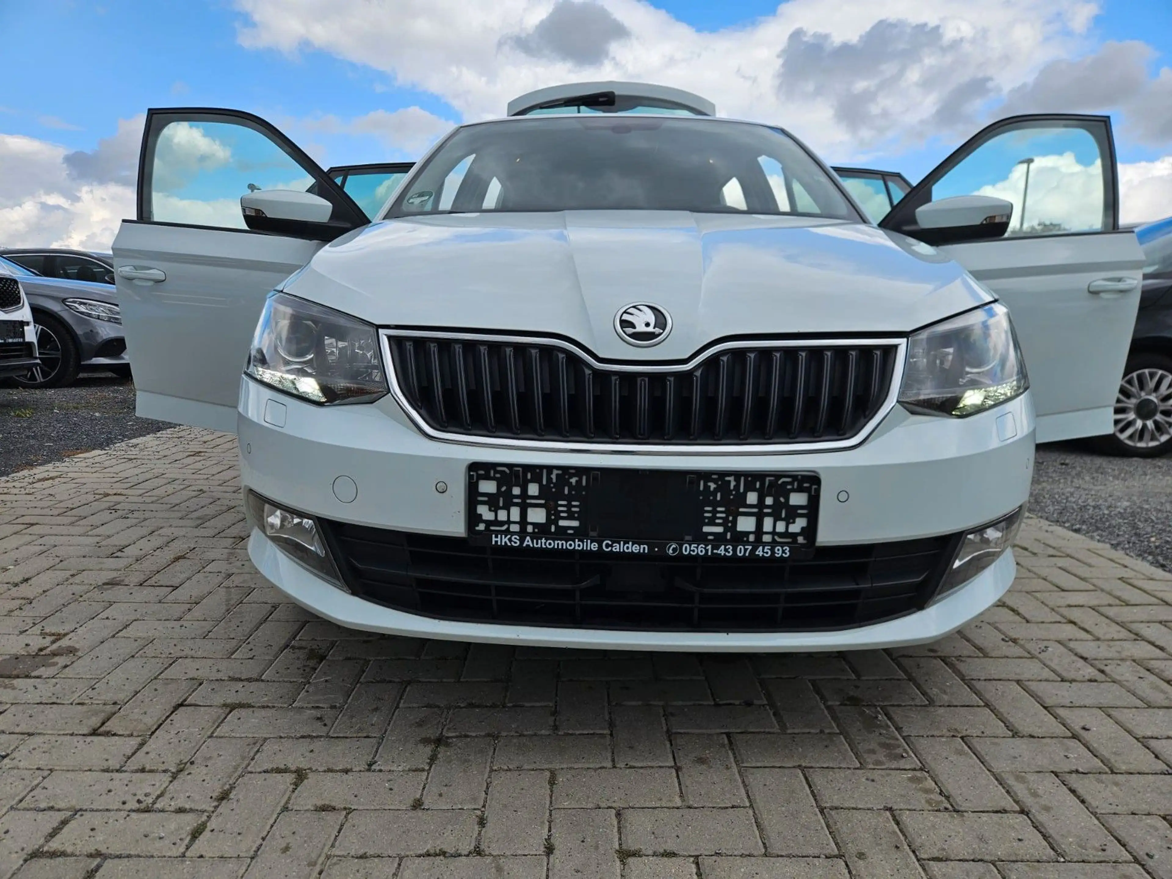Skoda Fabia Joy — photo 15