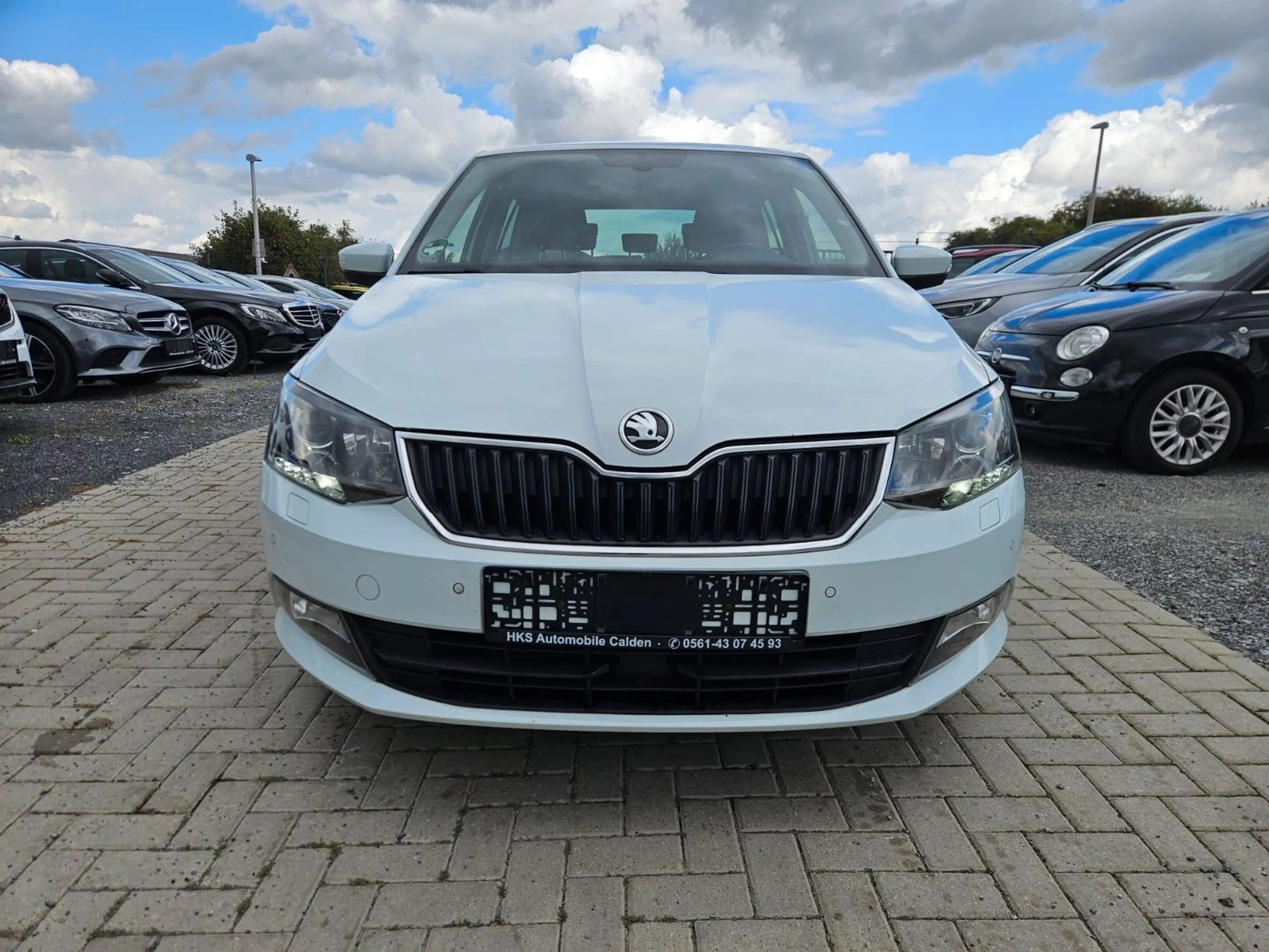 Skoda Fabia Joy — photo 6
