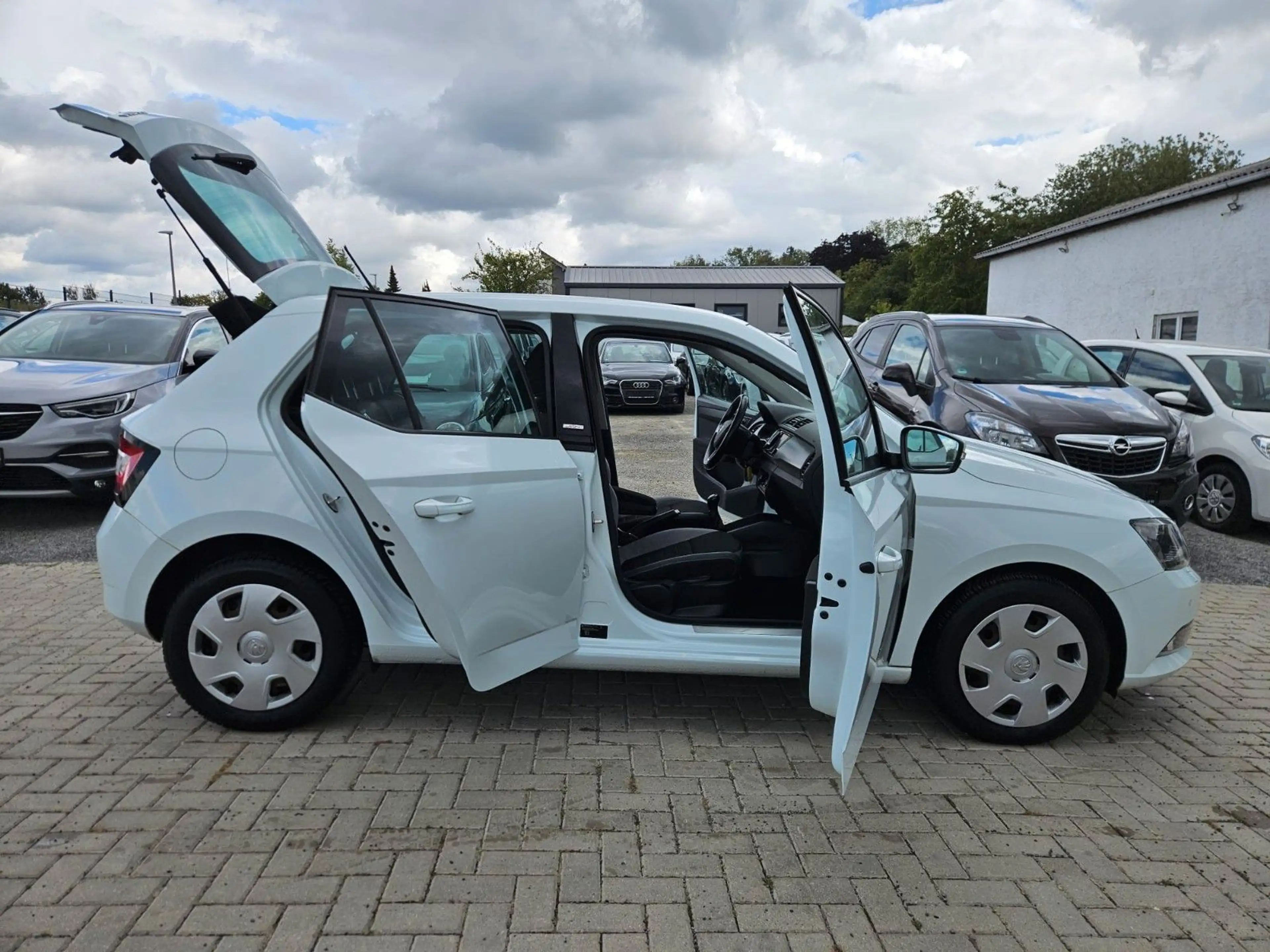 Skoda Fabia Joy — photo 14