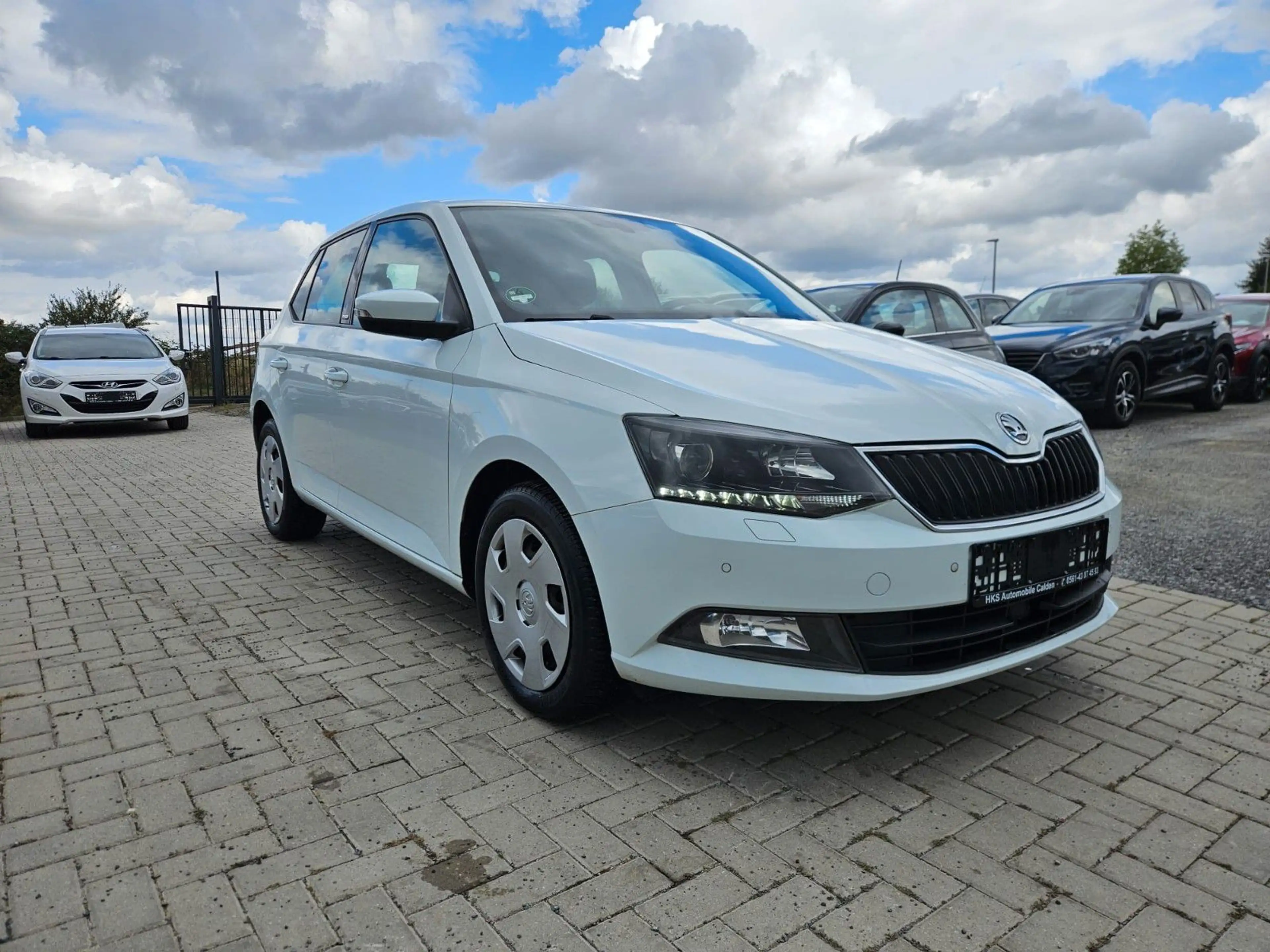 Skoda Fabia Joy — photo 7