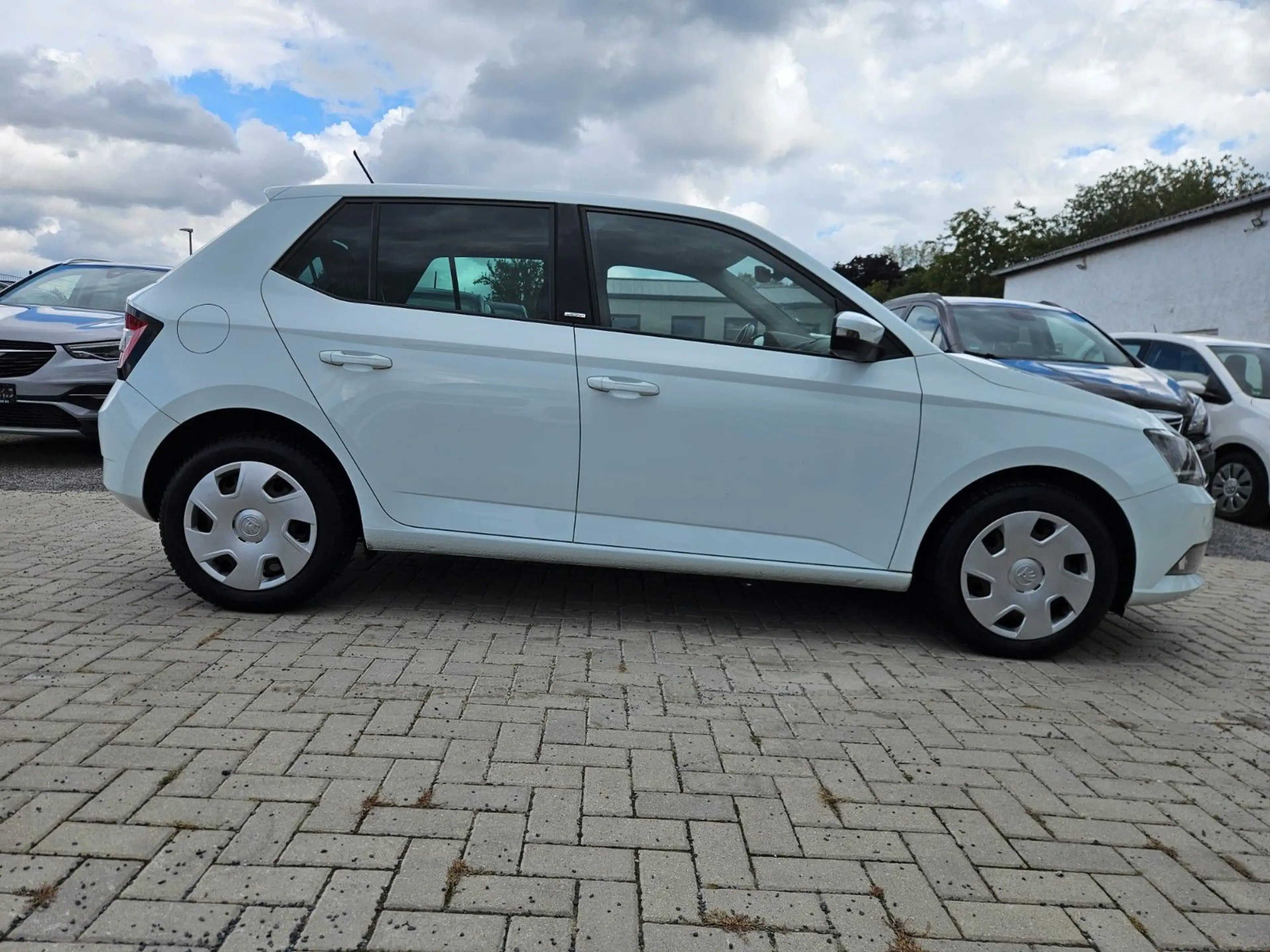 Skoda Fabia Joy — photo 8