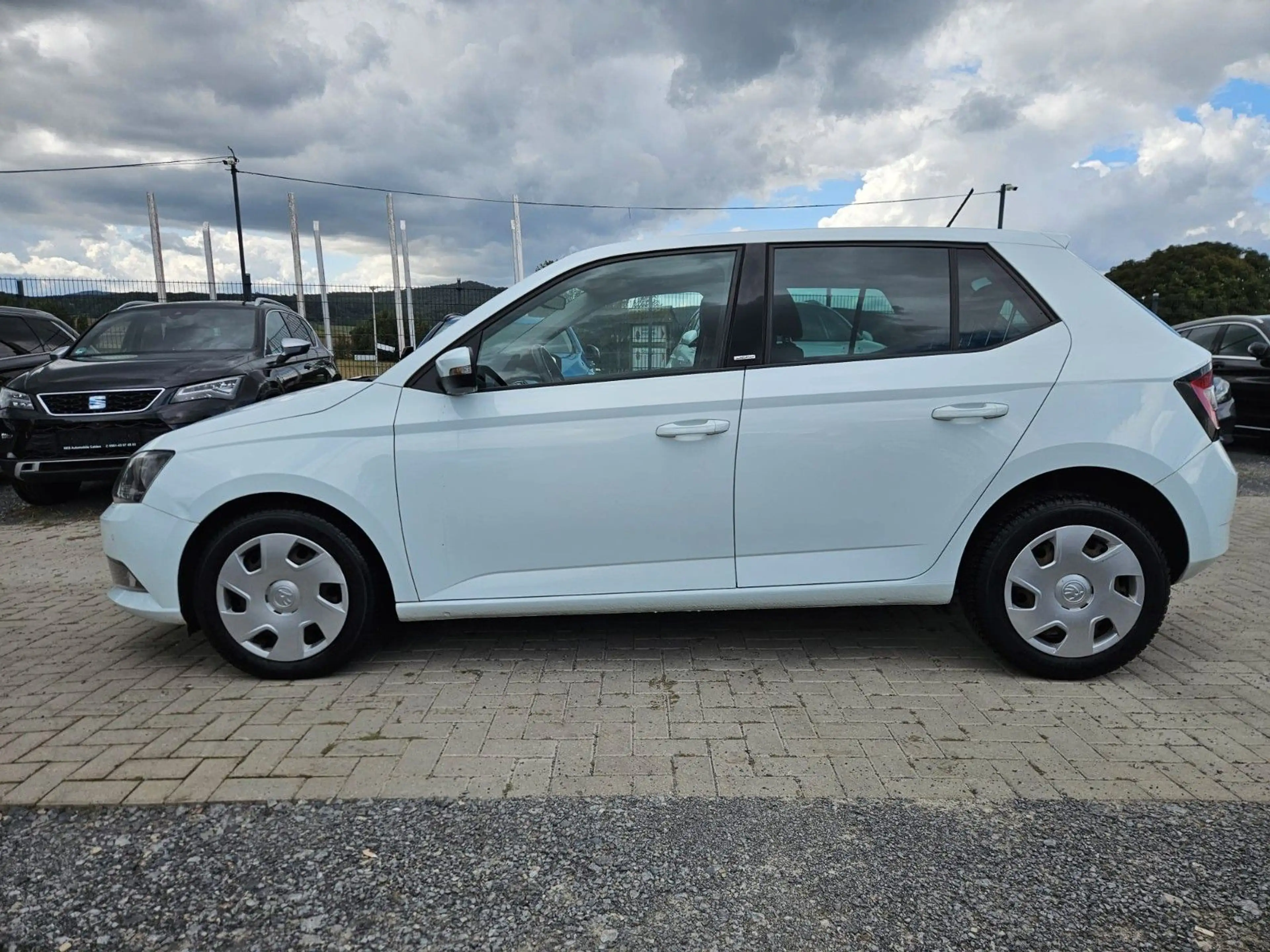 Skoda Fabia Joy — photo 3