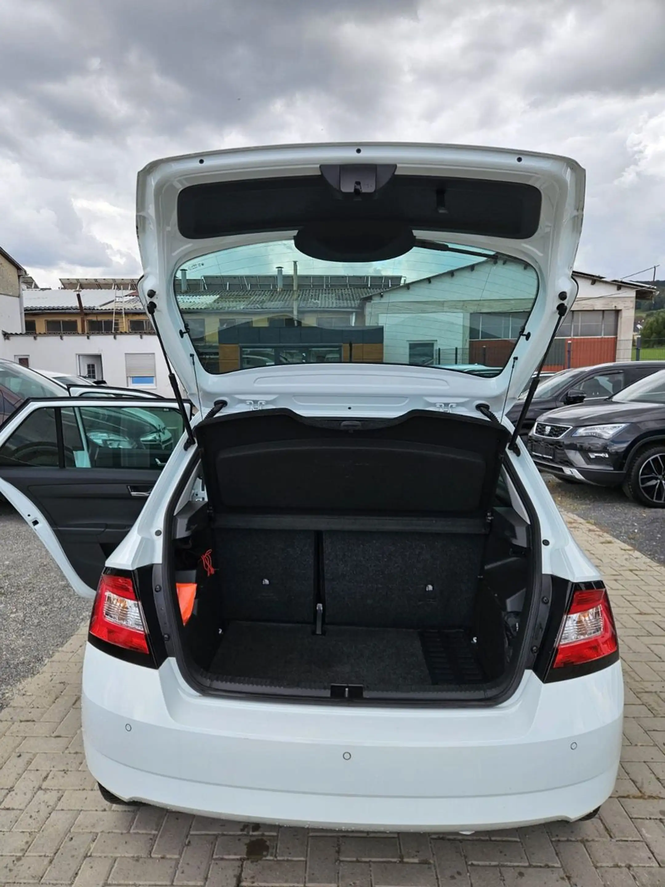Skoda Fabia Joy — photo 10