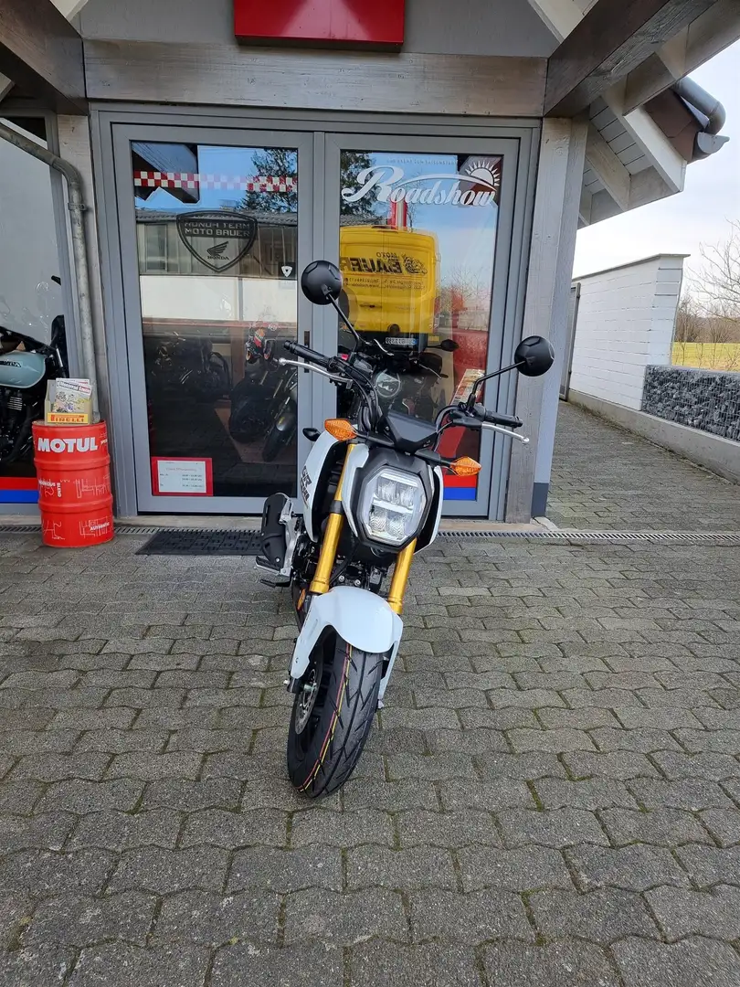Honda MSX 125 Blanco - 2