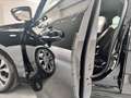 Ford Focus 1.5ecoblue ST-Line 120cv auto+WINTER P.+ COPILOT P Nero - thumbnail 22