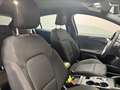 Ford Focus 1.5ecoblue ST-Line 120cv auto+WINTER P.+ COPILOT P Nero - thumbnail 12