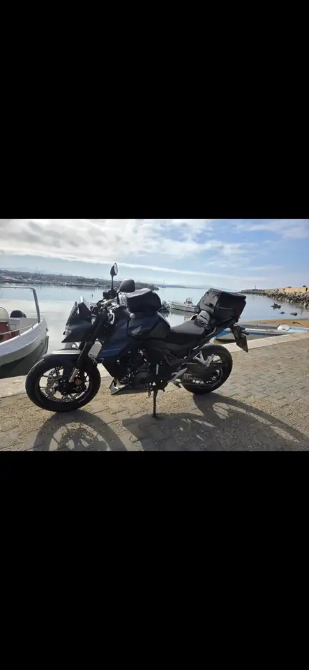 Honda Hornet