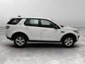 Land Rover Discovery Sport 2.0 TD4 Pure Bianco - thumbnail 7