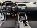 Jaguar F-Pace F-PACE R-Sport AWD*PANO*KAMERA*BLACK PACK Weiß - thumbnail 10