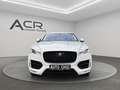 Jaguar F-Pace F-PACE R-Sport AWD*PANO*KAMERA*BLACK PACK Weiß - thumbnail 2