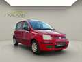 Fiat Panda 1.2 8V Dynamic 2.Hand/Rückfahrkamera Rot - thumbnail 2