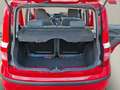 Fiat Panda 1.2 8V Dynamic 2.Hand/Rückfahrkamera Rot - thumbnail 14