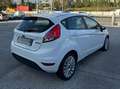 Ford Fiesta Fiesta 5p 1.4 16v Titanium Business Gpl Weiß - thumbnail 4